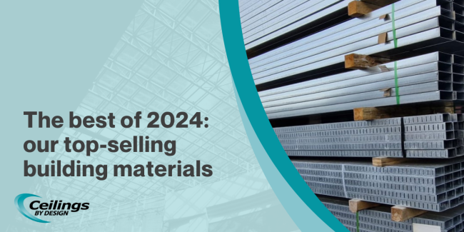 2024-11 Blog Header 2x (1)